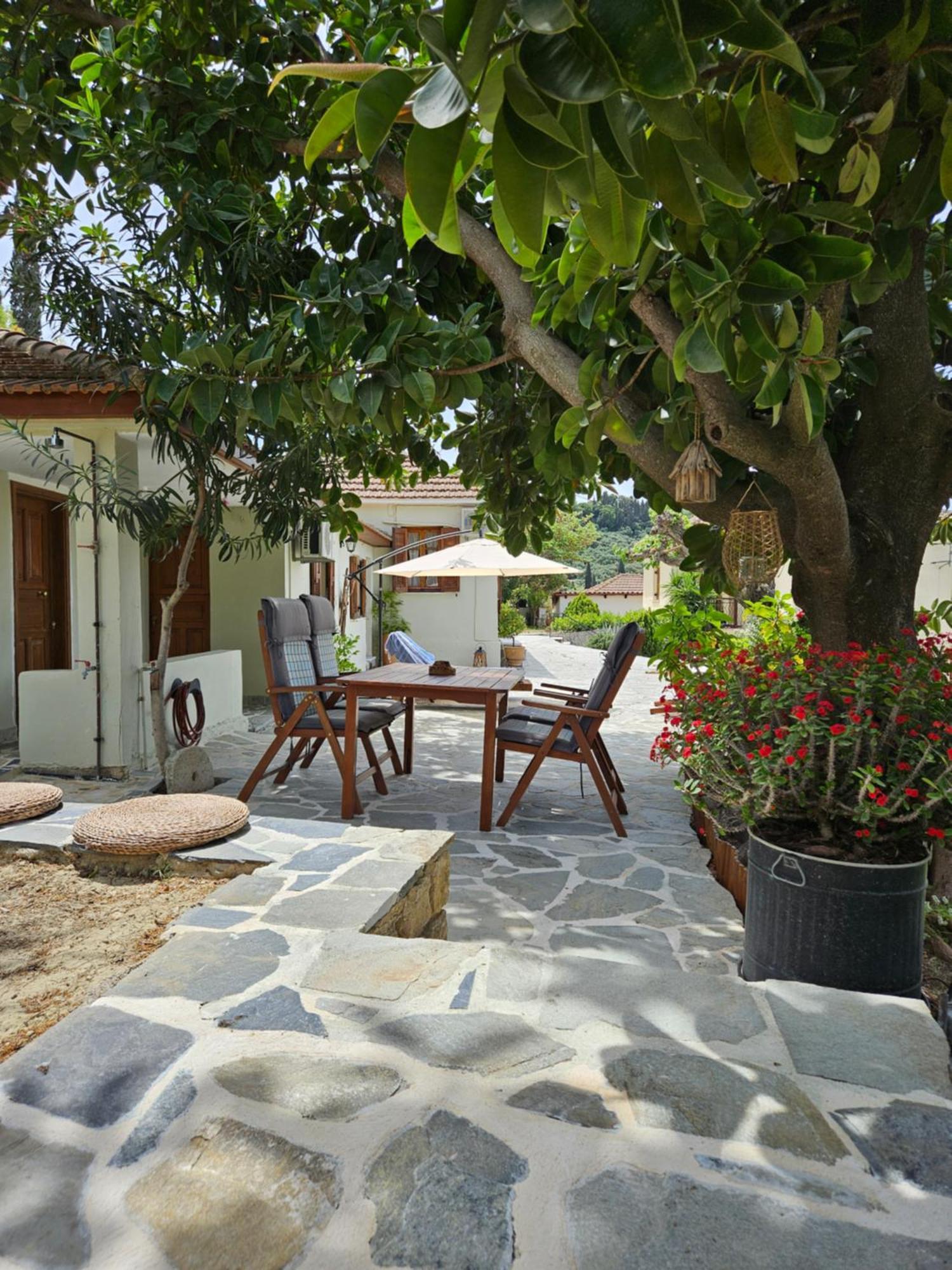 Kymanemi Zakynthos Cottage House Áno Yerakaríon Exteriér fotografie