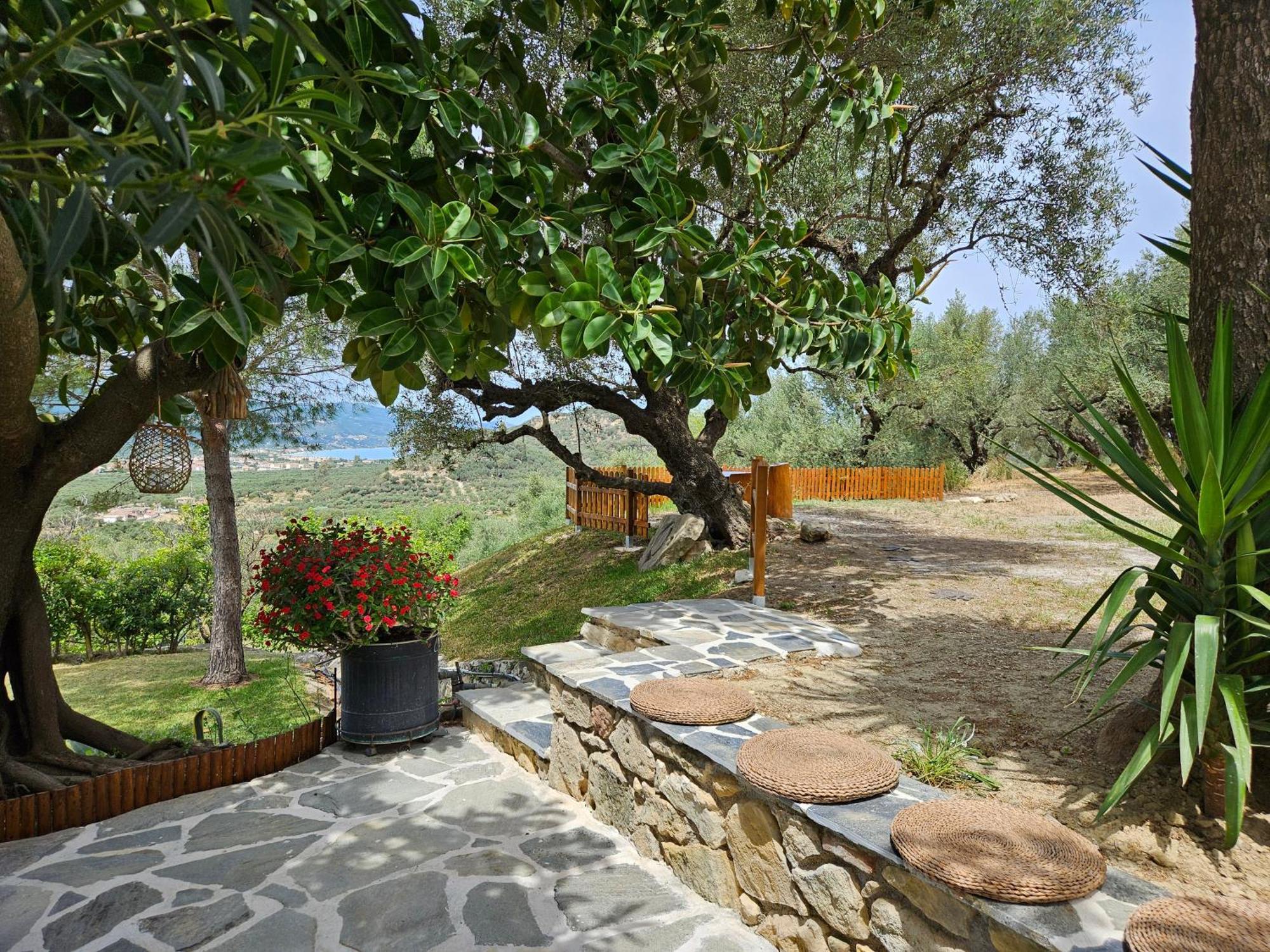 Kymanemi Zakynthos Cottage House Áno Yerakaríon Exteriér fotografie